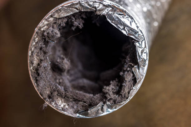 Best Best Air Duct Cleaning Company  in San Felipe, TX